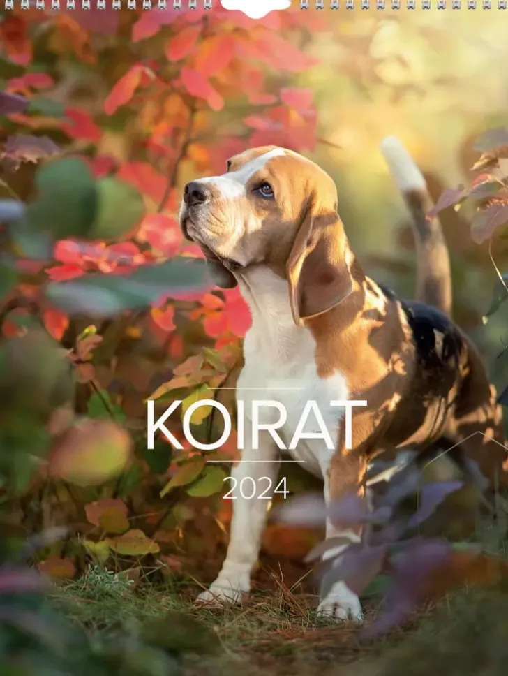 Burde Seinakalenteri 2024 Koirat