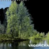Burde Seinakalenteri 2024 Vaggficka
