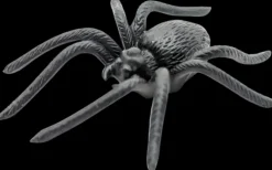 Hamahakki 8Cm