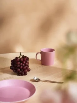Iittala Teema Lautanen 21 Cm, Ruusu