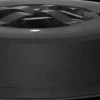 Winteria Kuusenjalka Automaatti Large