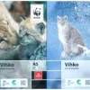 Wwf Vihko A5/40 Nidottu